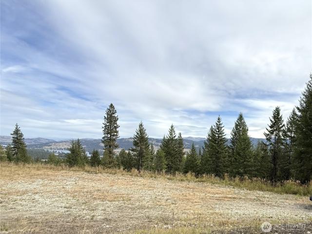 Land for sale in Republic, Ferry County