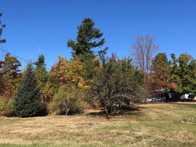 Land for sale in Michigan