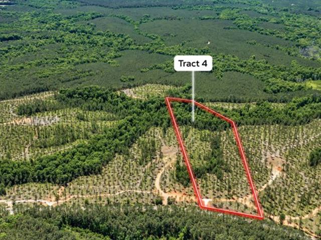 Land for sale in Carlton, Georgia