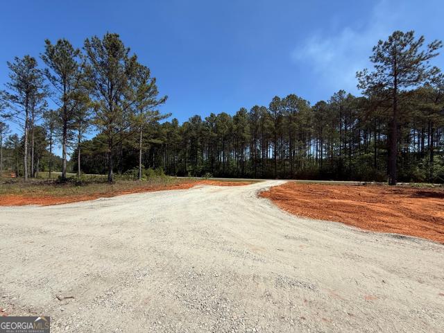 Land for sale in Carlton, Georgia