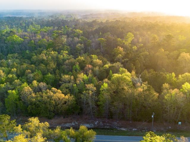 Land for sale in Rincon, Georgia