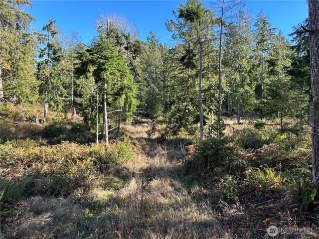 Land for sale in Manchester, Washington