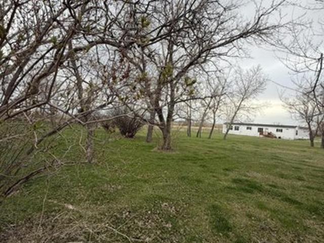 Land for sale in Noonan, North Dakota