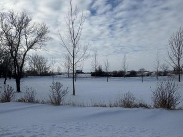 Land for sale in Noonan, North Dakota