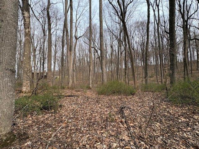 Land for sale in Caldwell, West Virginia