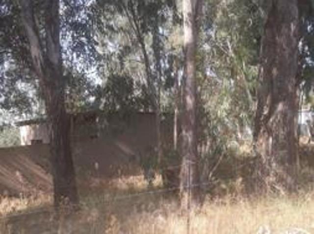 Land for sale in Oranjeville, Free State