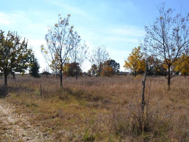 Land for sale in Oranjeville, Free State