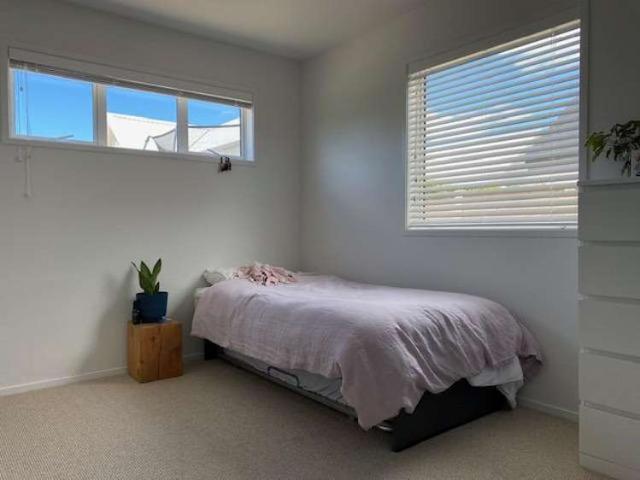 House for rent in Matakana, Auckland