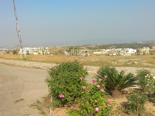 Commercial for sale in Islamabad, Islamabad Co-operative Housing