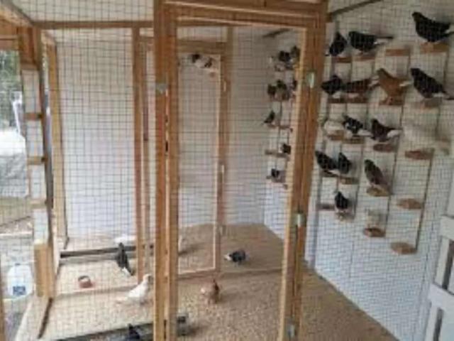 Commercial for sale in Rawalpindi, Islamabad Capital Territory