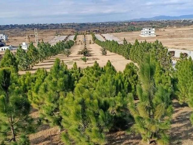 Land for sale in Rawalpindi, Islamabad Capital Territory