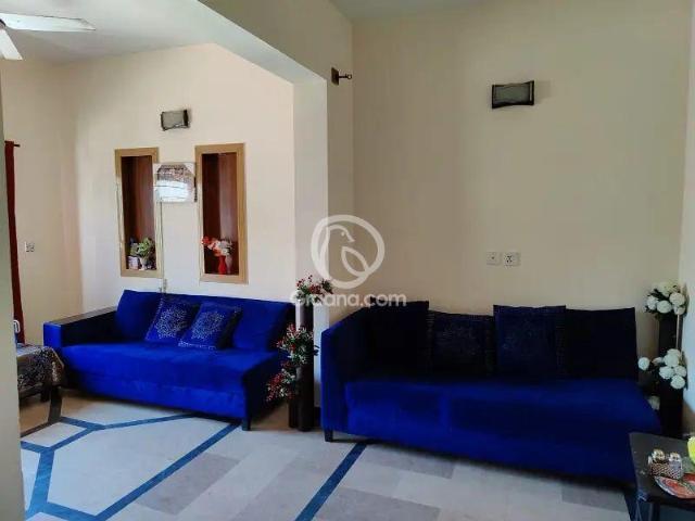 Property for rent in D-12, Islamabad