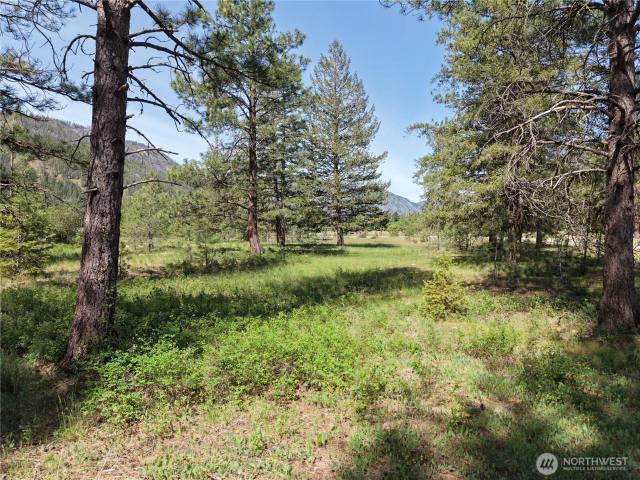 Land for sale in Mazama, Washington