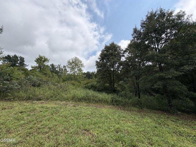 Farm for sale in Tennessee
