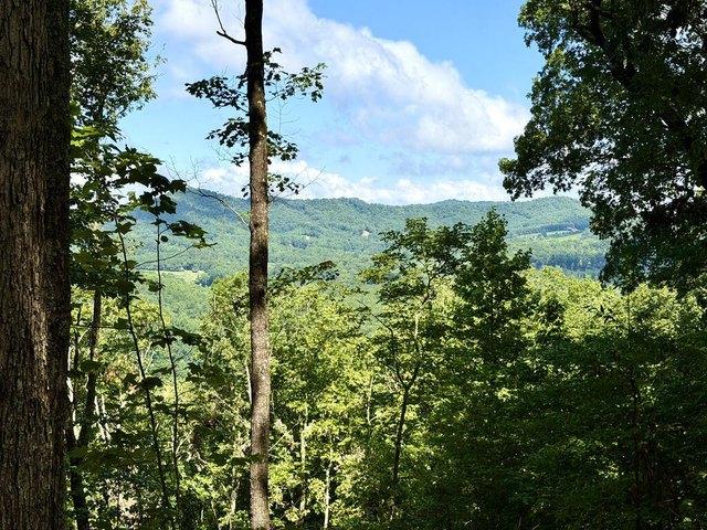 Land for sale in Warne, North Carolina