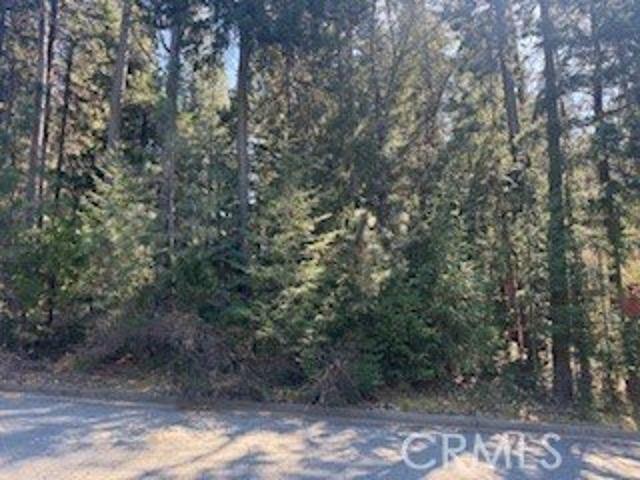 Land for sale in Dunsmuir, California