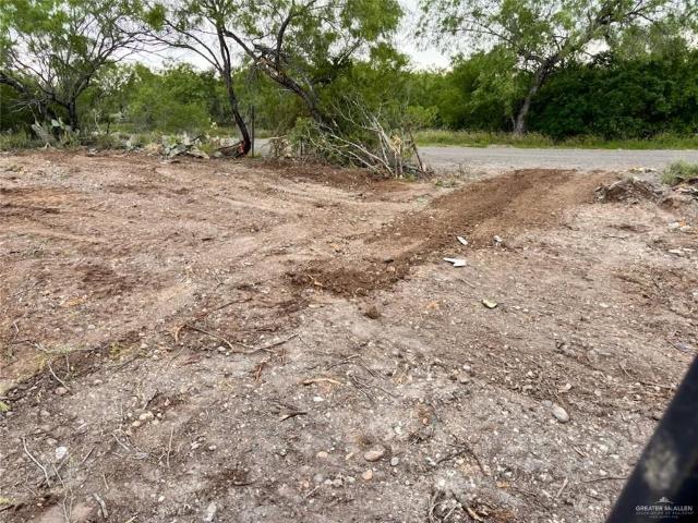 Land for sale in Roma, Texas