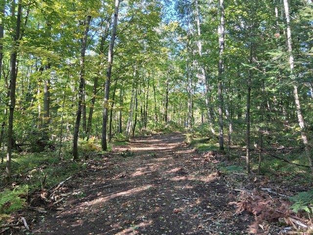 Land for sale in Crandon, Forest County