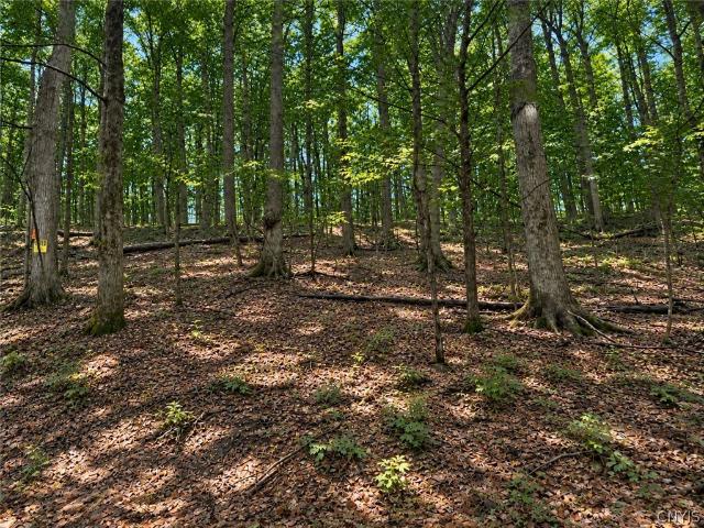 Land for sale in City of Utica, Oneida County
