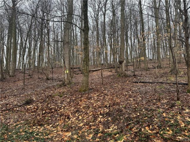 Land for sale in Oneida, New York