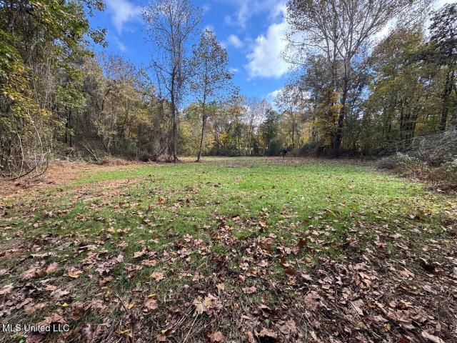 Land for sale in Roxie, Mississippi