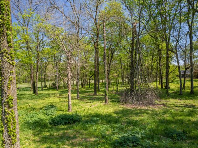 Land for sale in Tennessee