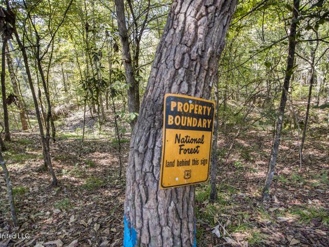 Land for sale in Crosby, Mississippi