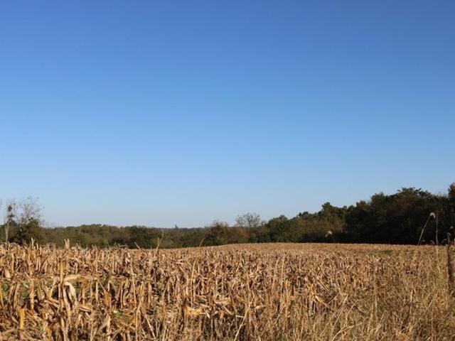 Land for sale in Rising Sun, Indiana
