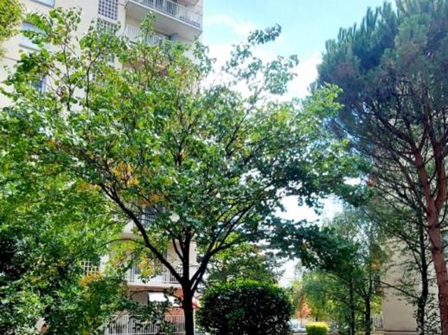 Appartement location à Lyon, Métropole de Lyon