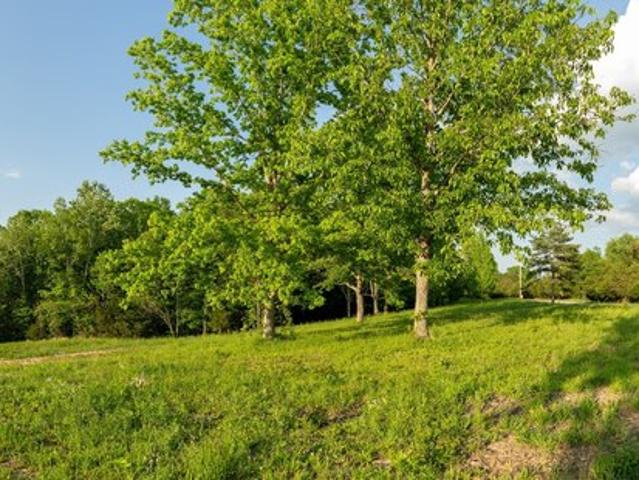 Land for sale in Tennessee