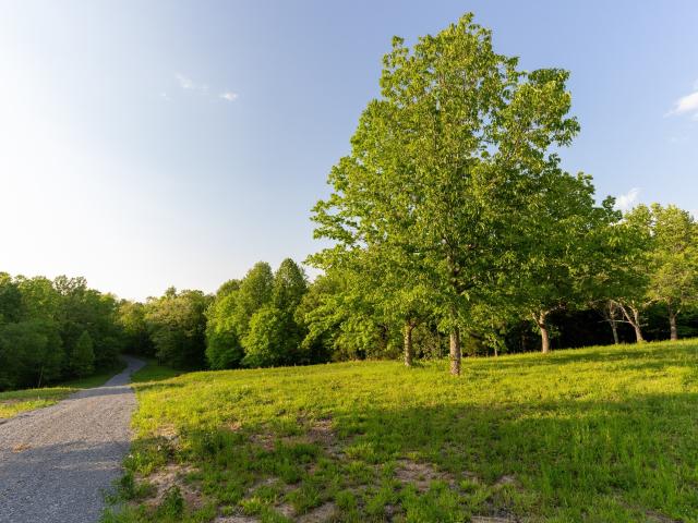 Land for sale in Tennessee