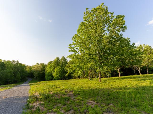 Land for sale in Tennessee
