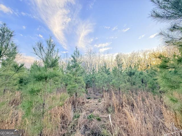 Land for sale in Lumber City, Georgia