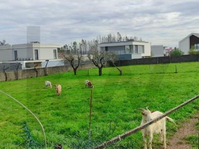 Casa venda em Assilhó, Albergaria-a-velha