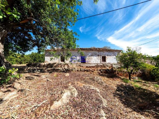 Terreno venda em Albufeira, Faro