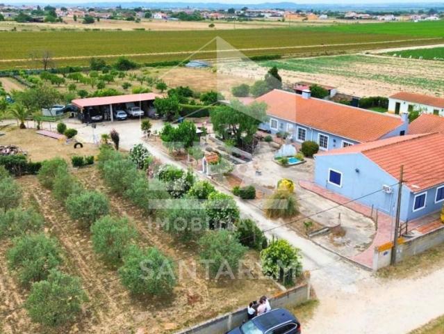 Casa venda em Alpiarça, Santarém