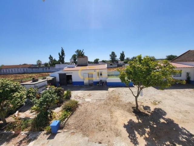 Terreno venda em Alpiarça, Santarém
