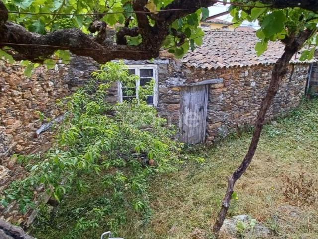 Terreno venda em Arganil