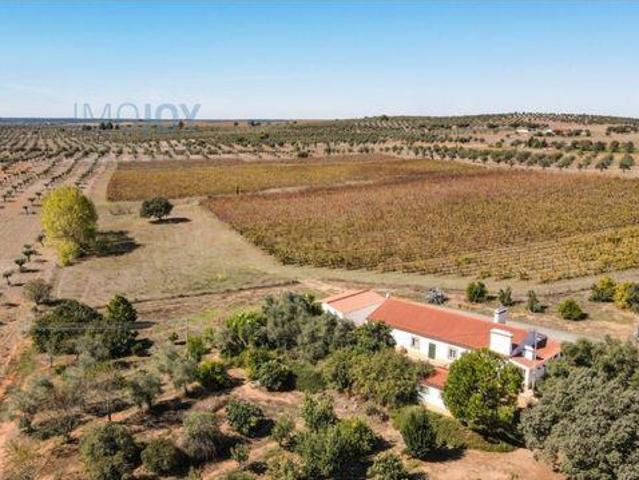 Terreno venda em Avis, Portalegre