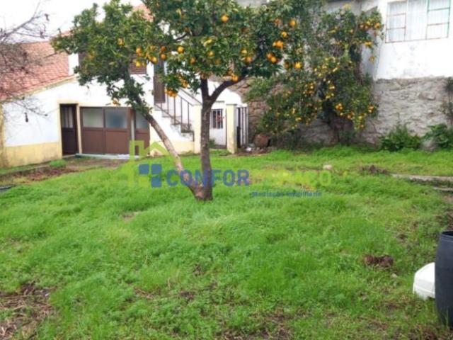 Casa venda em Castelo Branco
