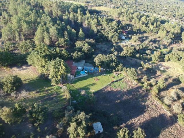 Casa venda em Castelo Branco