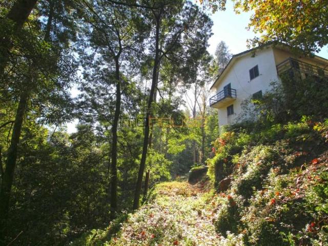Terreno venda em Castelo De Paiva, Aveiro
