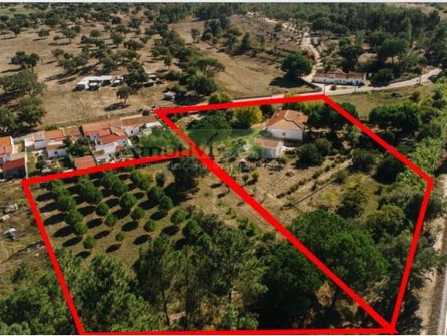 Terreno venda em Coruche, Santarém