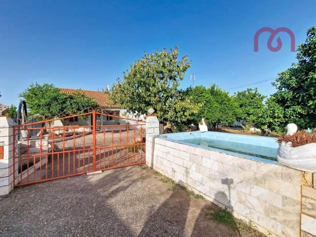 Casa venda em Estremoz, Évora