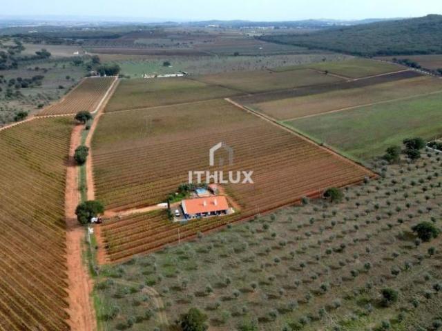Terreno venda em Estremoz