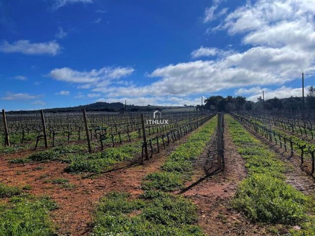 Terreno venda em Estremoz, Évora