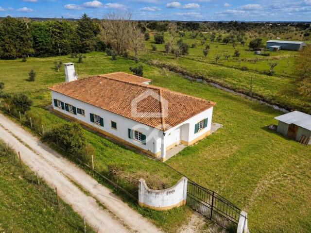 Terreno venda em Évora