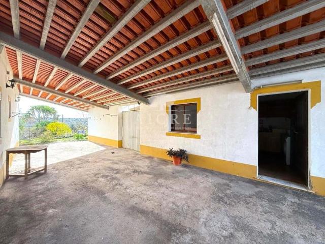 Terreno venda em Évora
