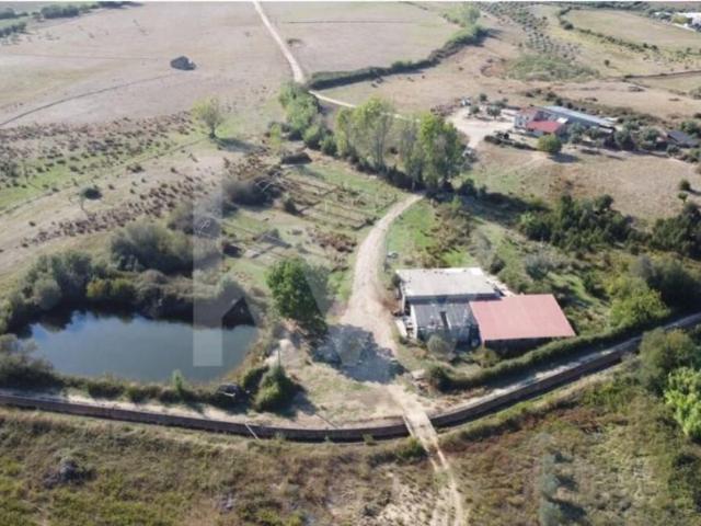 Terreno venda em Castelo Branco, Idanha-a-nova