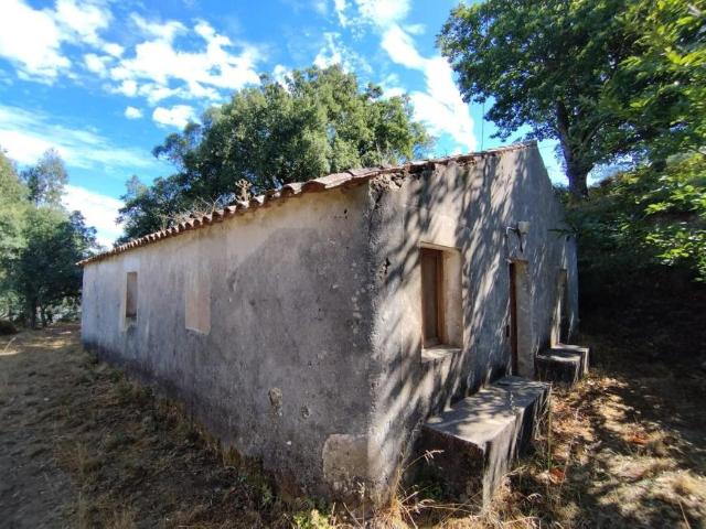 Terreno venda em Monchique, Faro